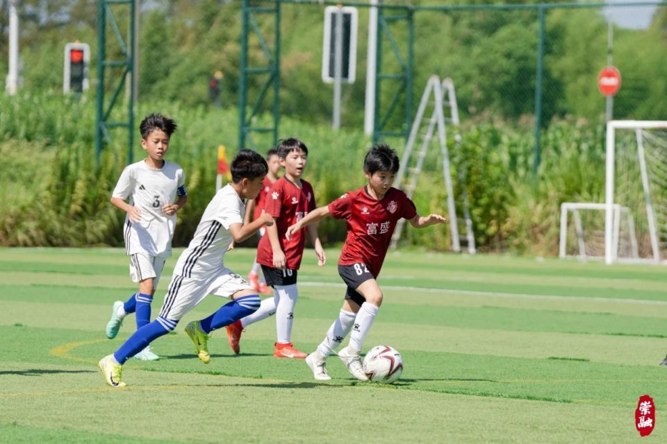 球队齐聚赛 球队齐聚赛