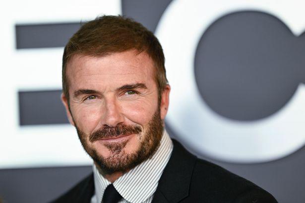 当时, net, 家族决定出